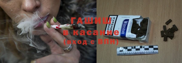 дживик Инта