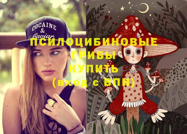 Альфа ПВП Каменногорск