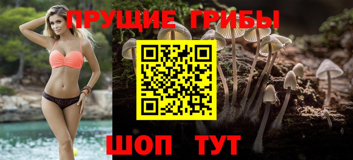 Псилоцибиновые грибы прущие грибы Лангепас